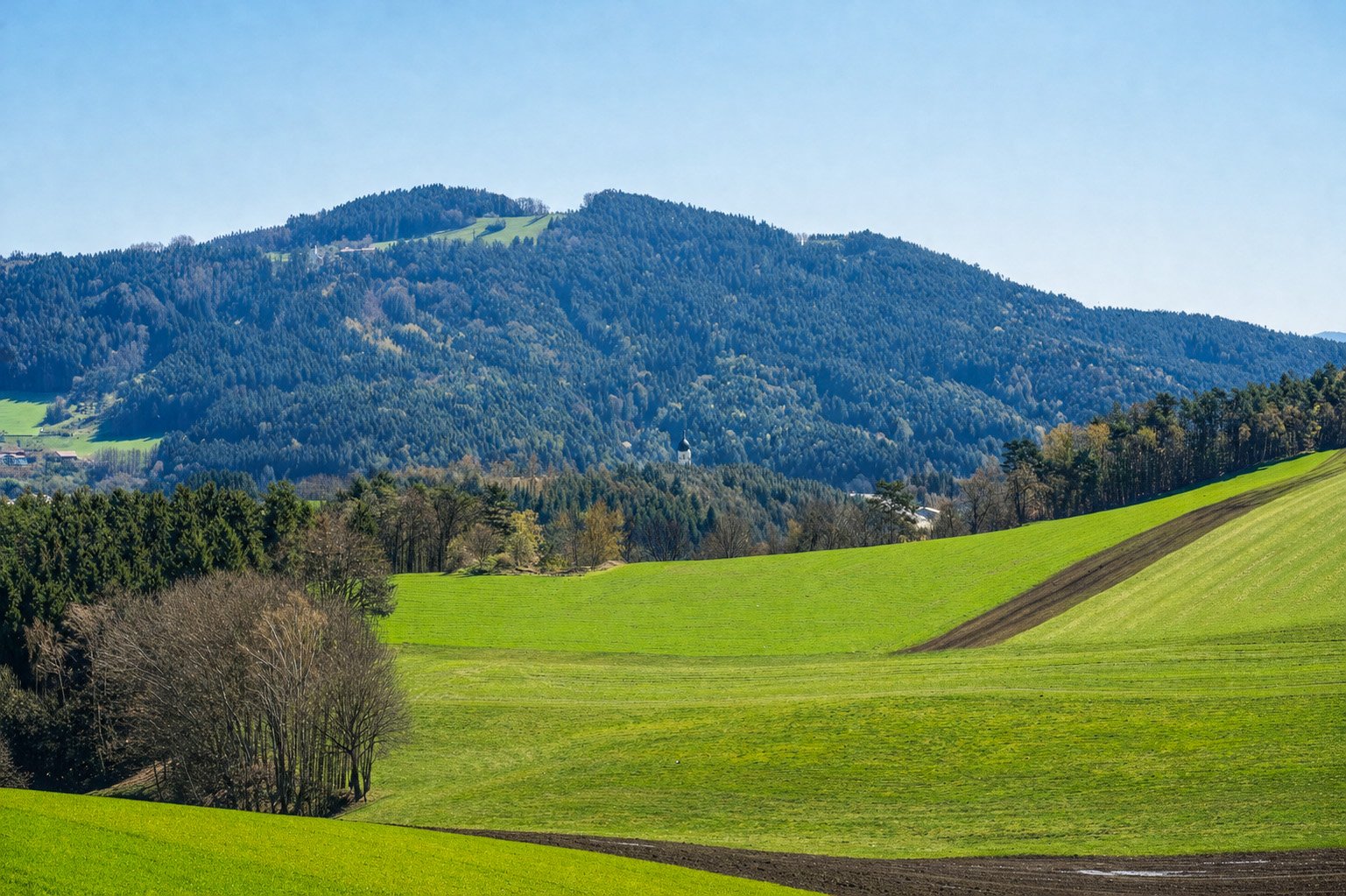 Blick auf den Gallner im Bayerischen Wald